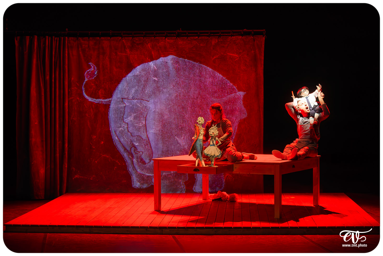 LA TRISTESSE DE L'ELEPHANT (CIE DES RIVES DE L'ILL)